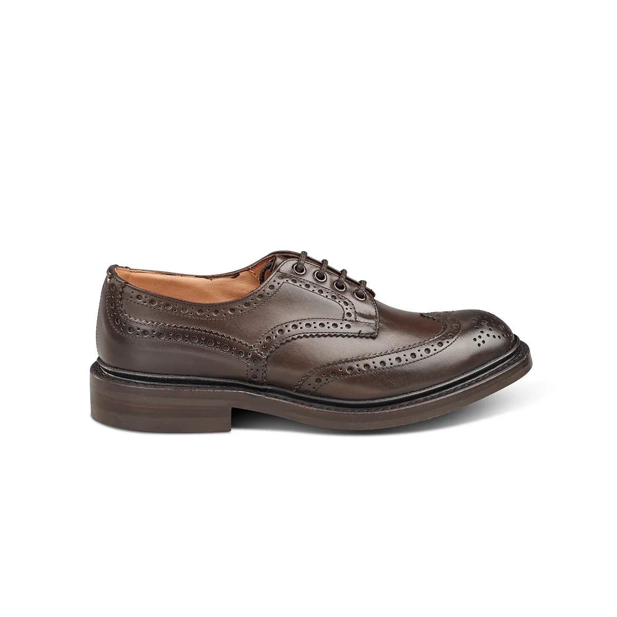 Bourton Brogue - Espresso